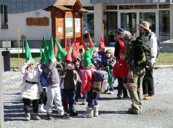 I segreti del Bosco vecchio