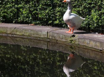 Gli ospiti dell’Orto Botanico