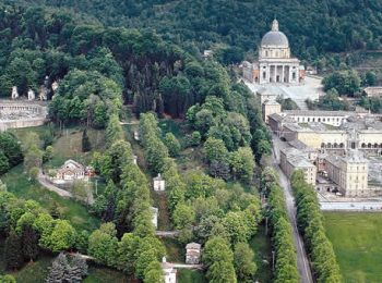 Il cammino a 6 zampe