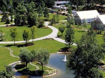 Area Musica Estate