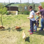 GG cascina campora buttigliera dasti