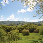 GG eremo dei toschi san godenzo
