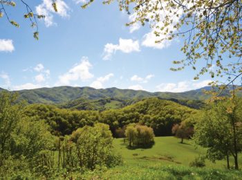 Eremo dei Toschi – San Godenzo (FI)