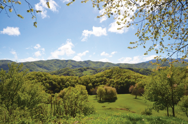 GG eremo dei toschi san godenzo