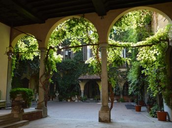 Il Cenacolo e la vigna di Leonardo