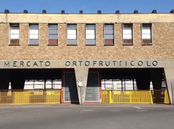 Junifest Florence sabato