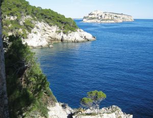 GG procida tremiti e capraia6