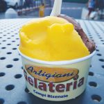 GG artigiani gelateria campi bisenzio