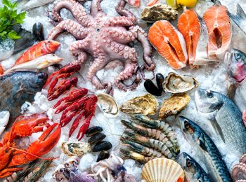 Fake news sul pesce, smentite da Slow Food