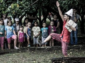 Gli Alberi di Pinocchio
