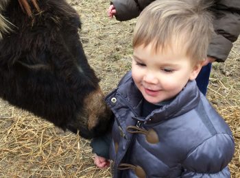 Nasce un agriasilo a Milano
