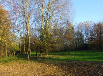 Escursione fra pievi, castelli e cascine