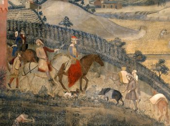 Alla scoperta di Ambrogio