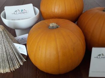 Festa di Halloween