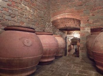 Intorno a… un’oliva