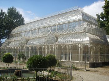 Mostra autunnale di piante e fiori