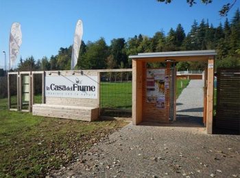 Regali dal bosco