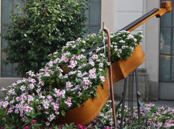 Nel giardino degli archi