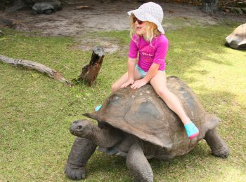 In vacanza alle Seychelles con i bambini: le isole e le spiagge