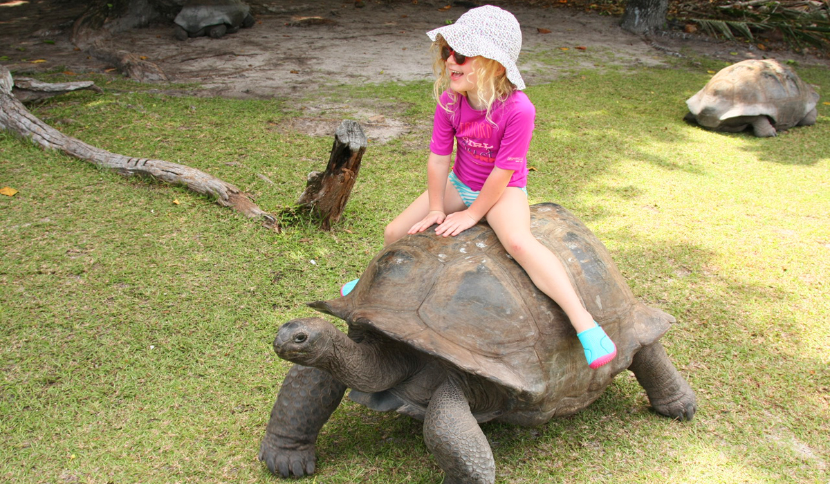 In vacanza alle Seychelles con i bambini: le isole e le spiagge