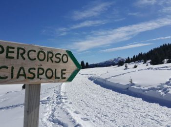 Piccoli in ciaspola