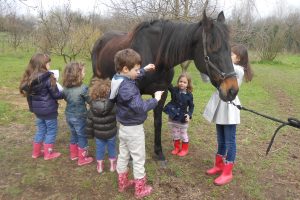 GG lab conoscenza e cura del cavallo