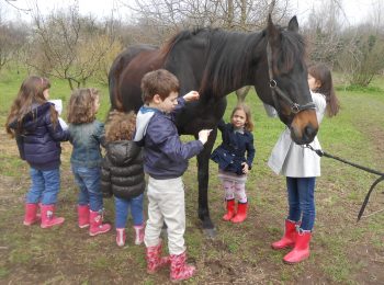 Lab conoscenza e cura del cavallo