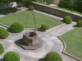 Conosciamo il mondo delle erbe