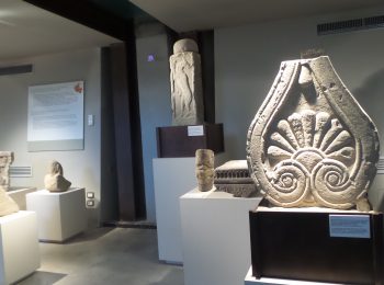 Diventa Amico del Museo!
