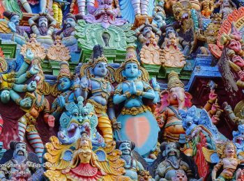 Fantastico mondo dell’India
