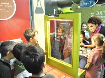 Il gioco
