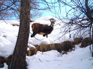 GG montagna e neve con i bambini13