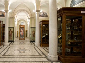 Museo di Anatomia per bambini