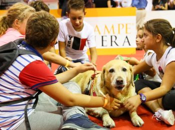 Quattrozampeinfiera Roma 2018