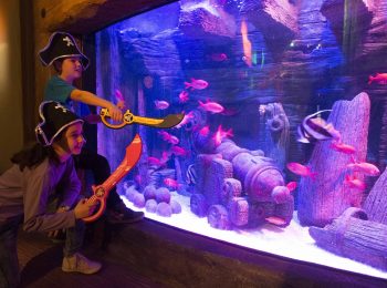Un Carnevale alternativo, con i pesci del Gardaland SEA LIFE