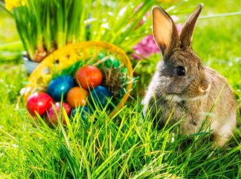 Festa di Pasqua