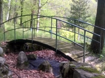 Giornata di cura del verde a Villa Plinia