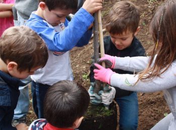 Giornata di volontariato al Crazy Bosco