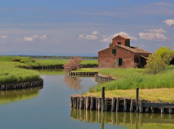 Il Parco del Delta del Po in bicicletta, alla luce della luna