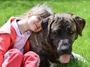Conoscere il cane e diventare amici