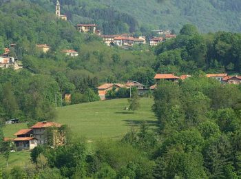 Le buone erbe