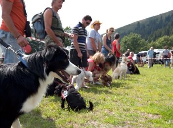Caccia al tesoro con Fido