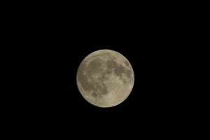 GG 28 apr escursione al chiaro di luna