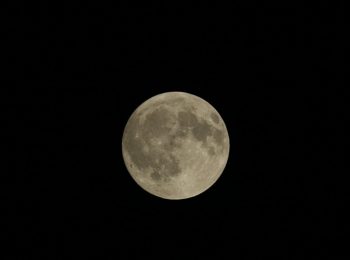 Escursione al chiaro di luna