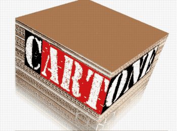 Cartone riciclato ad arte