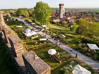 Fiori nella Rocca 2018
