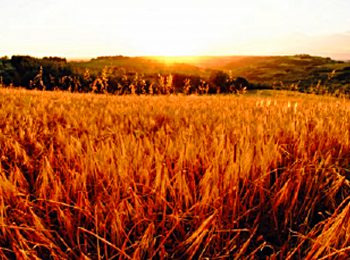 Merenda culturale all’azienda agricola Le Valli a Lucardo