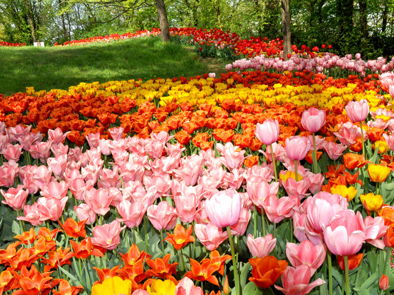 GG primavera e giardini in fiore in italia2