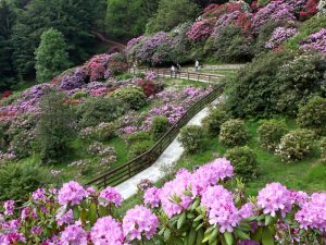 GG primavera e giardini in fiore in italia4