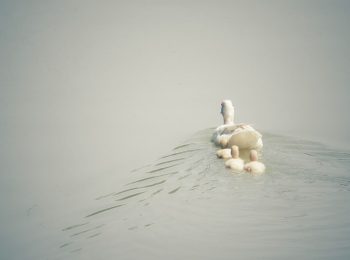 La contraccezione dopo il parto, cosa bisogna sapere